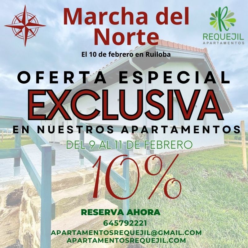 Apartamentos Requejil